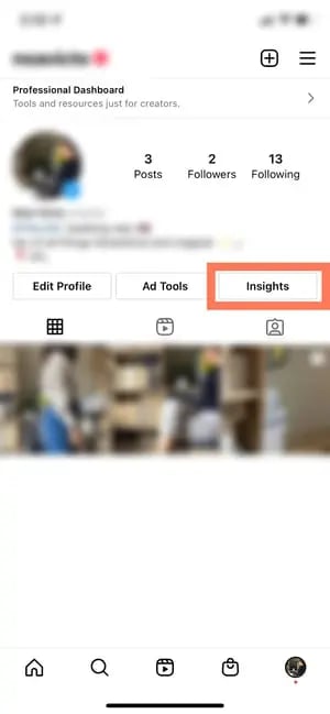 How To Use Instagram Insights: Professional Profile