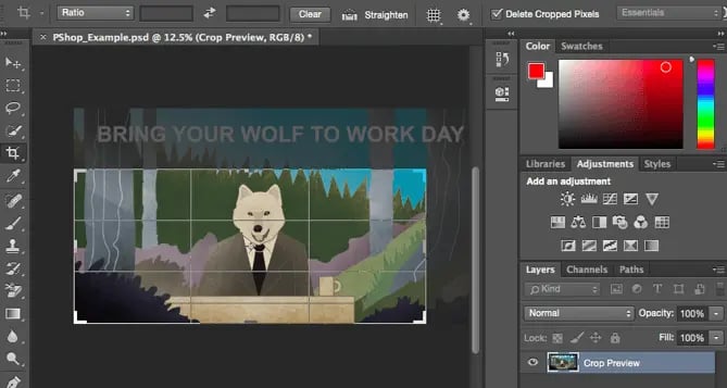 photoshop-crop-tool-example