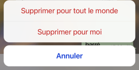 astuce pour annuler l'envoi d'un message sur Whatsapp