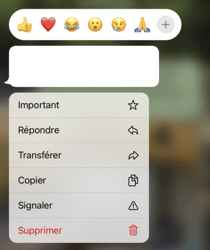 WhatsApp Garder des messages en favoris