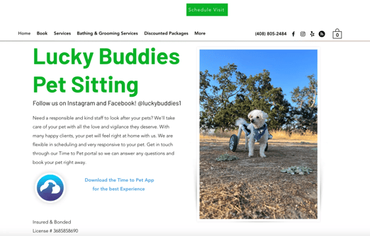 small business idea pet sitter