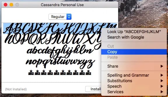 Copying Special Font To Paste It Into Instagram