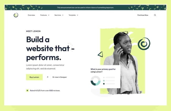 business website templates, lemon