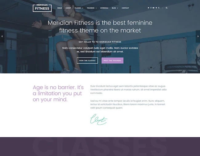 meridian fitness Wordpress theme