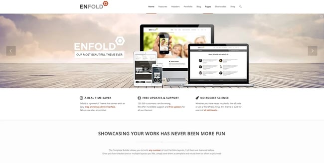 what is a wordpress theme example: enfold theme