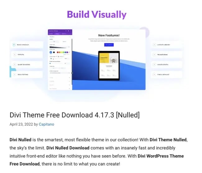 nulled wordpress themes and plugins example: divi 