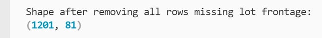DataFrame shape showing 1,201 rows printed to the terminal