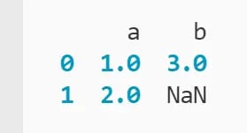 DataFrame of two rows and two columns containing integer and NaN values printed to the terminal