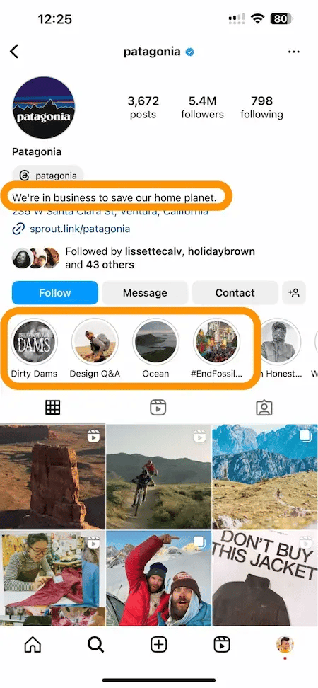 patagonia insta.webp?width=450&height=972&name=patagonia insta - How to Do an Inclusive Website and Social Media Audit to Improve Conversions
