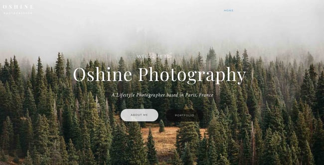 photograph website templates, Oshine