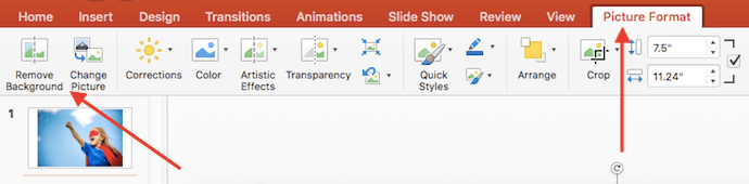 Picture Format tab to Remove Background of photo in a PowerPoint slide