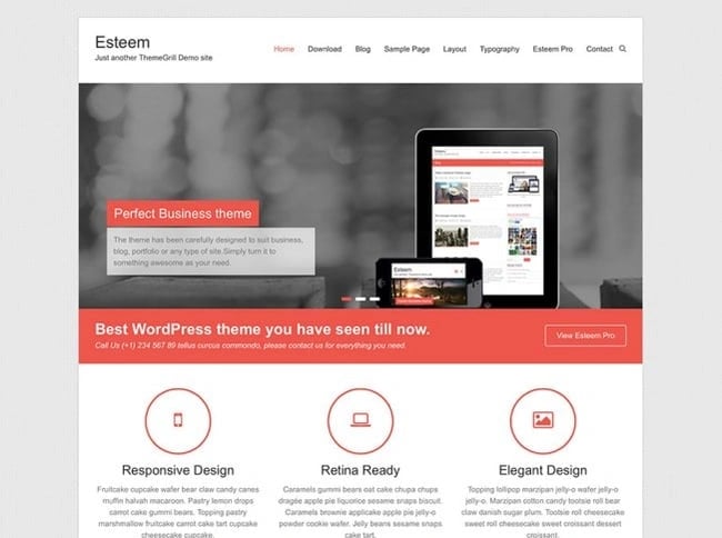 esteem responsive wordpress theme 