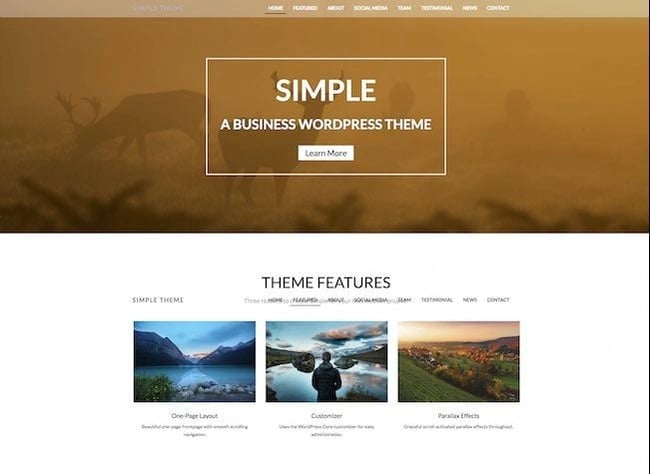 simple: responsive wordpress theme option