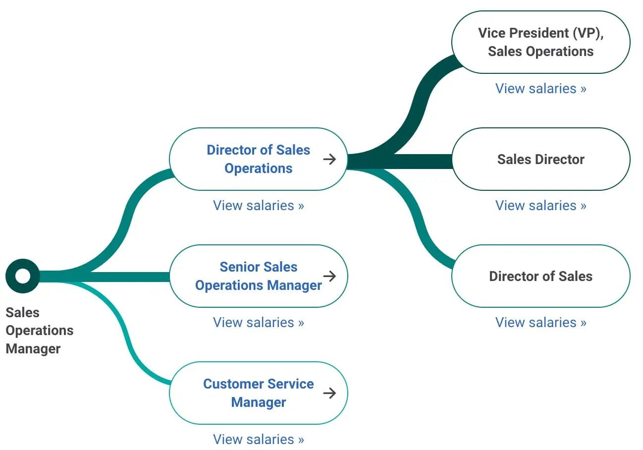 Sales director, potential career path for a Sales Operations Manager from PayScale