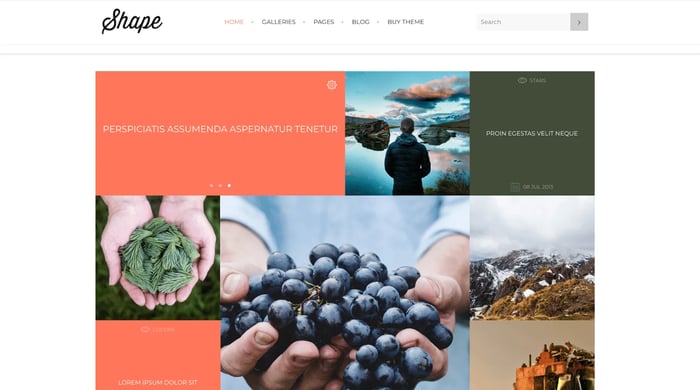 shape simple wordpress theme