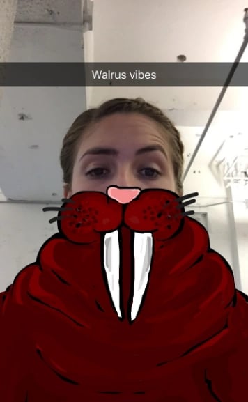 walrus-vibes-snapchat.png