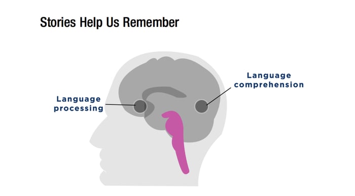 storytelling brain