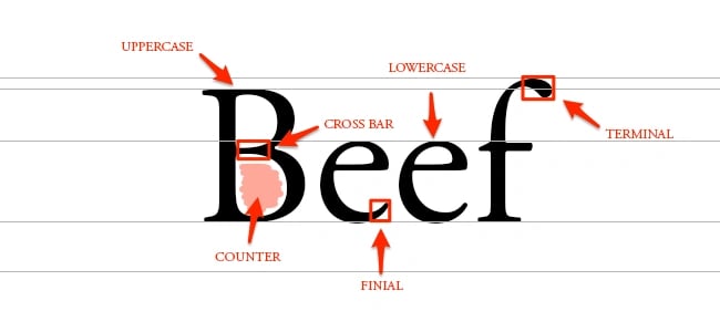 Beef