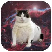 catpaint