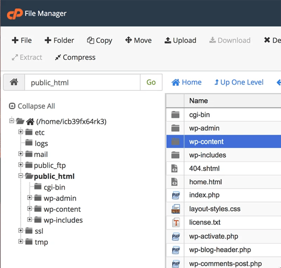 Managed WordPress-Copy my wp-content folder