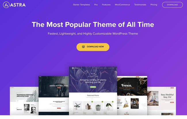 WordPress membership theme: Astra