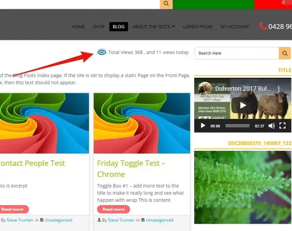 sample WordPress page with total views displayed to site visitors