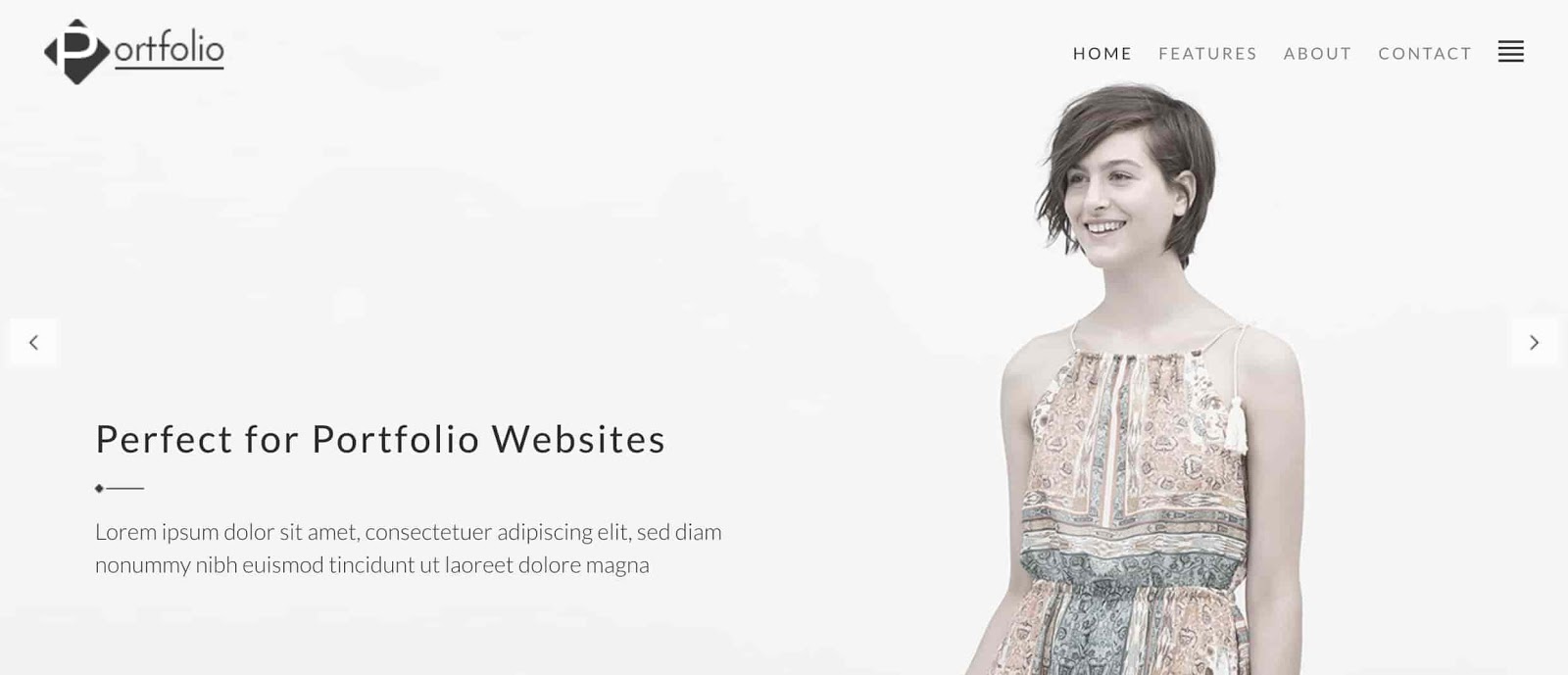 Best wordpress themes for artists, Portfolio