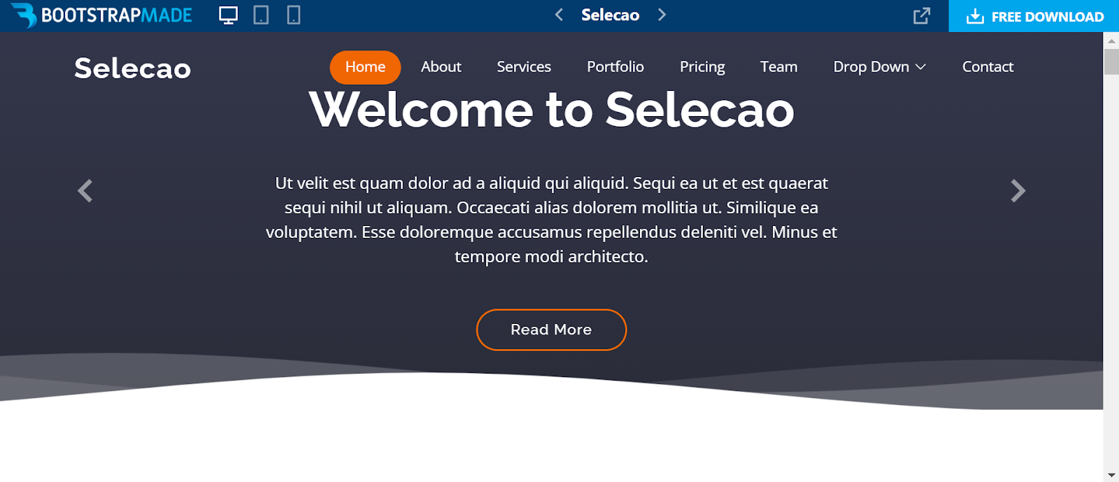 Bootstrap website templates, Selecao