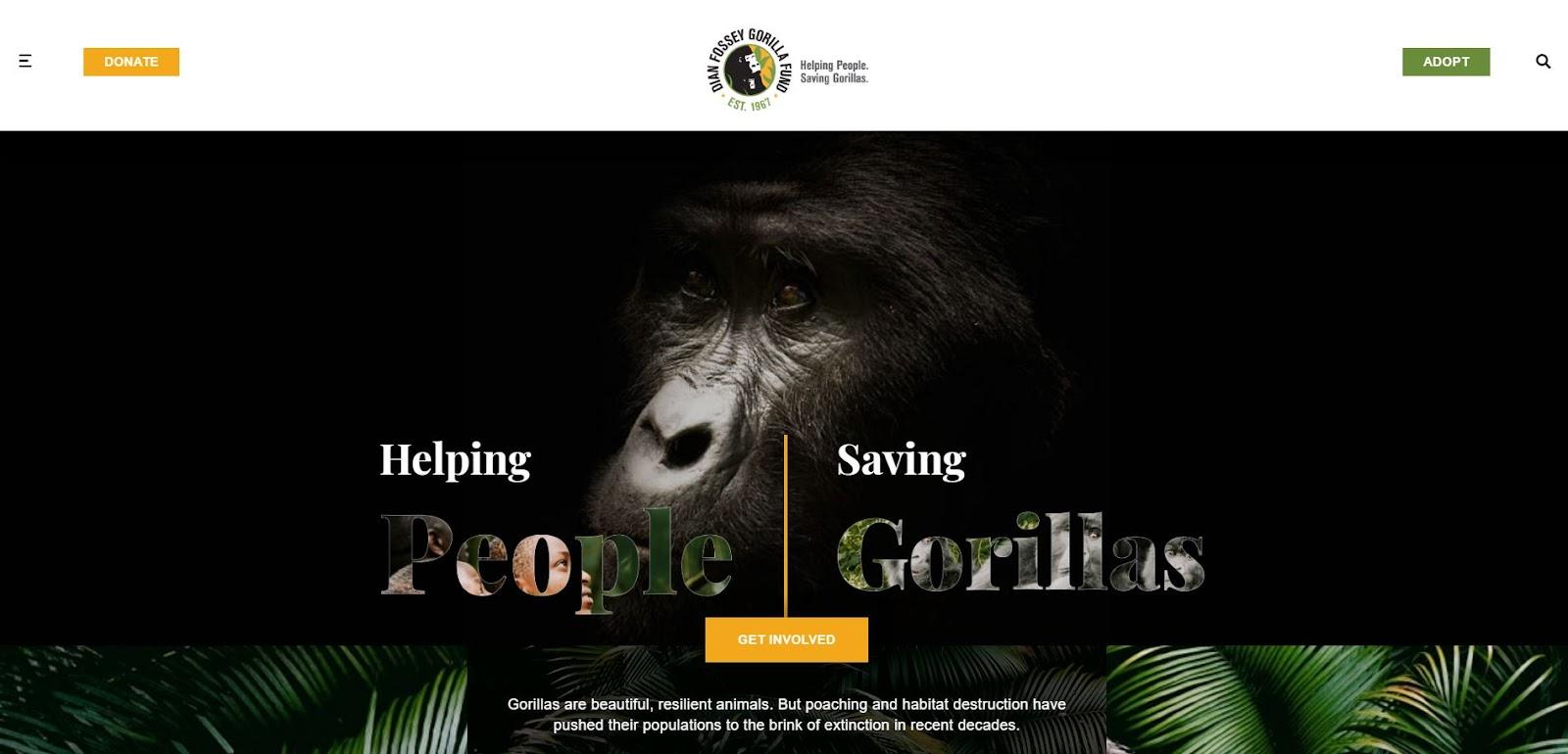 charity website design examples, Dian Fossey Gorilla Fund International