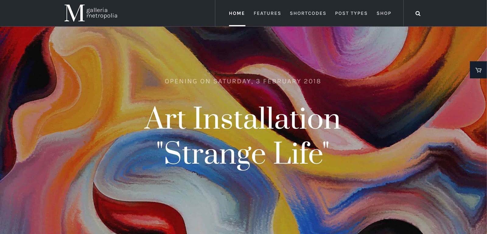 Best wordpress themes for artists, Galleria Metropolia