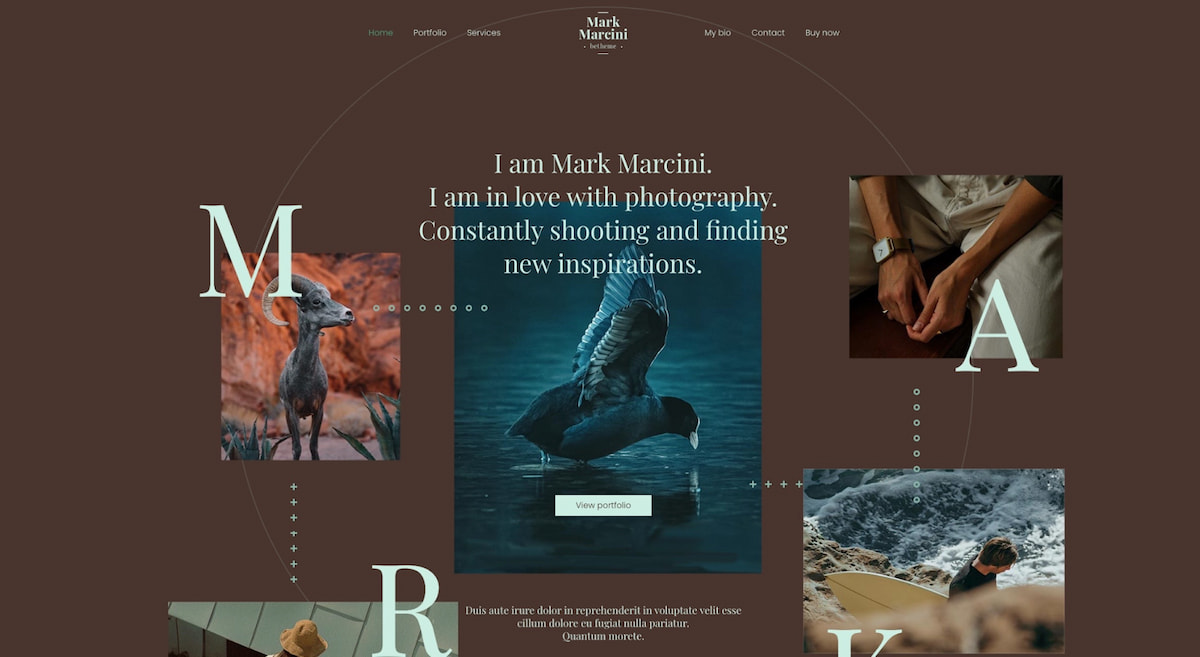 Best wordpress themes for artists, Betheme