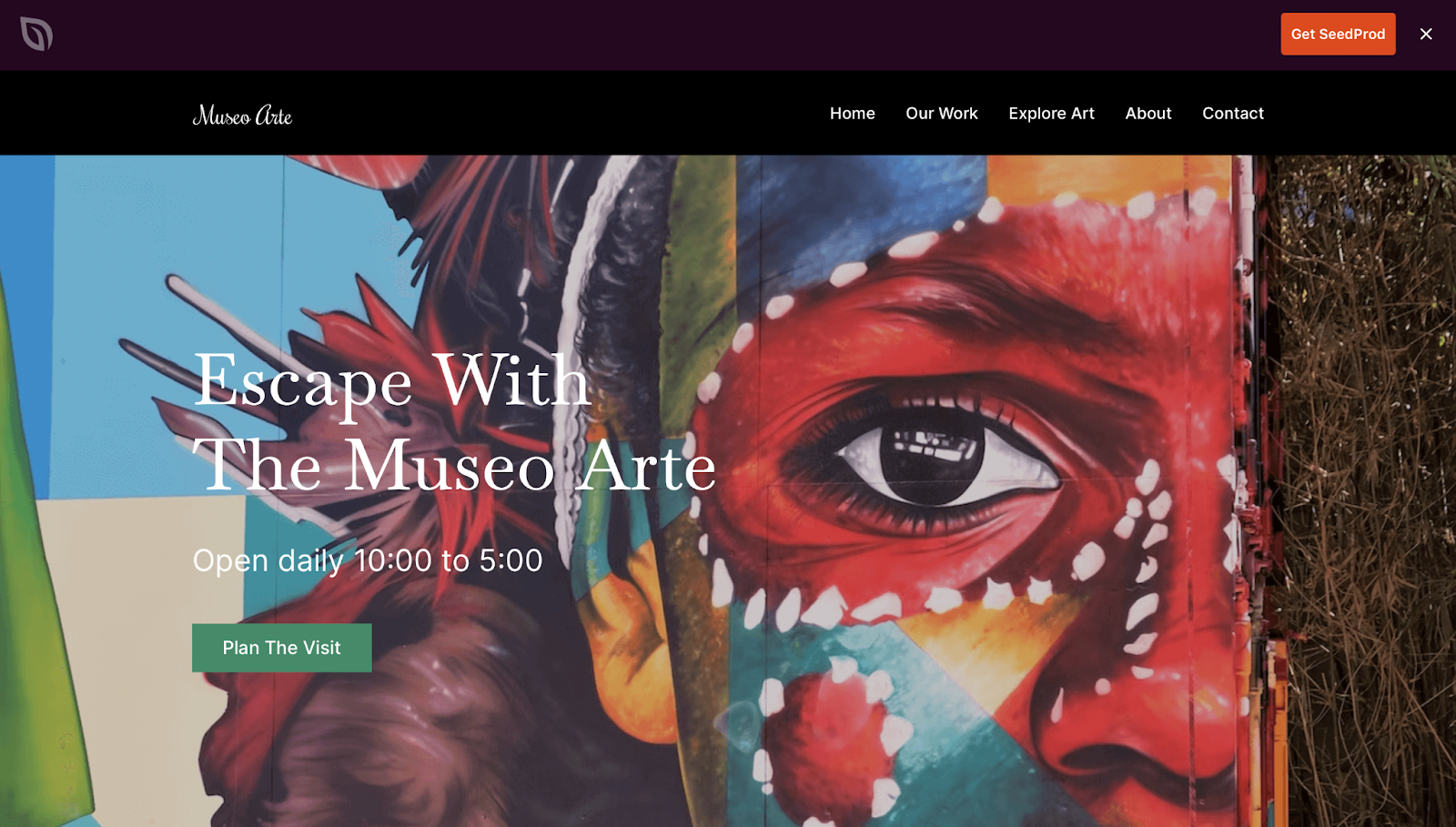 Small business WordPress themes, SeedProd