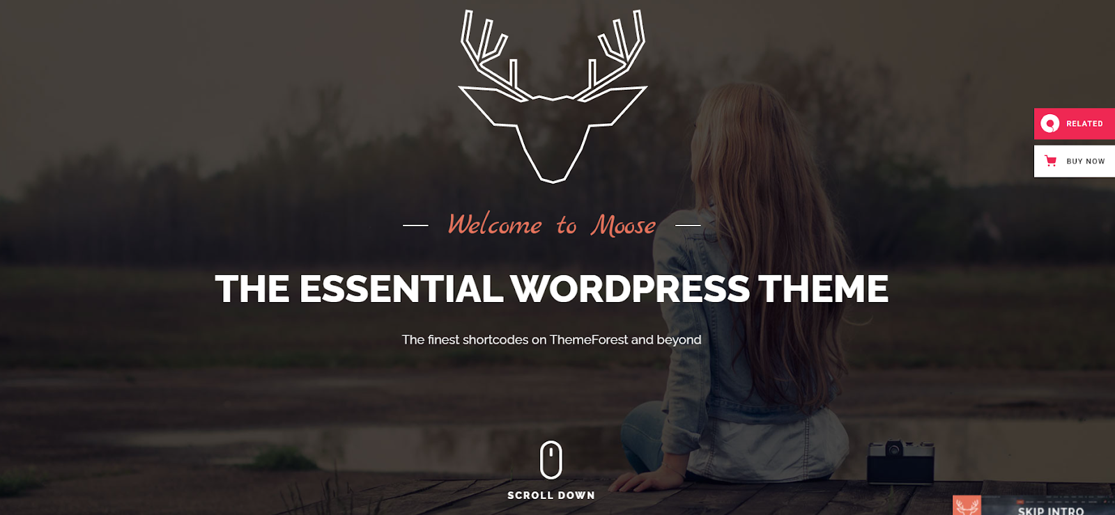 futuristic website templates, Moose Futuristic WordPress Theme