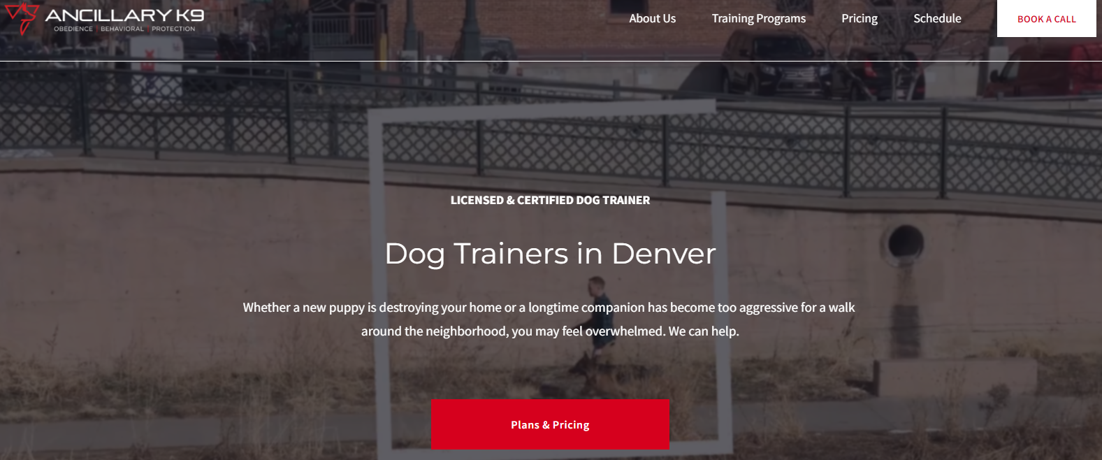 Weebly website example, Ancillary K9