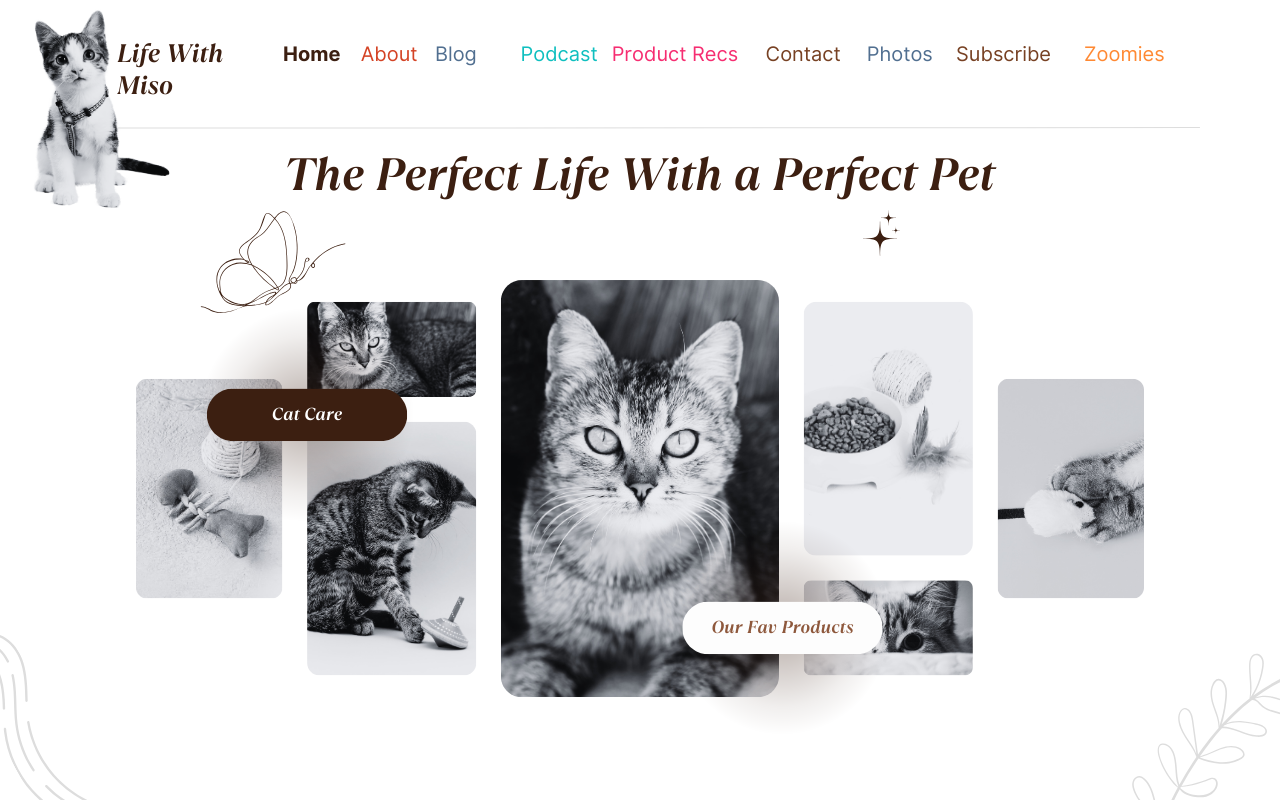 header design for a cat care blog