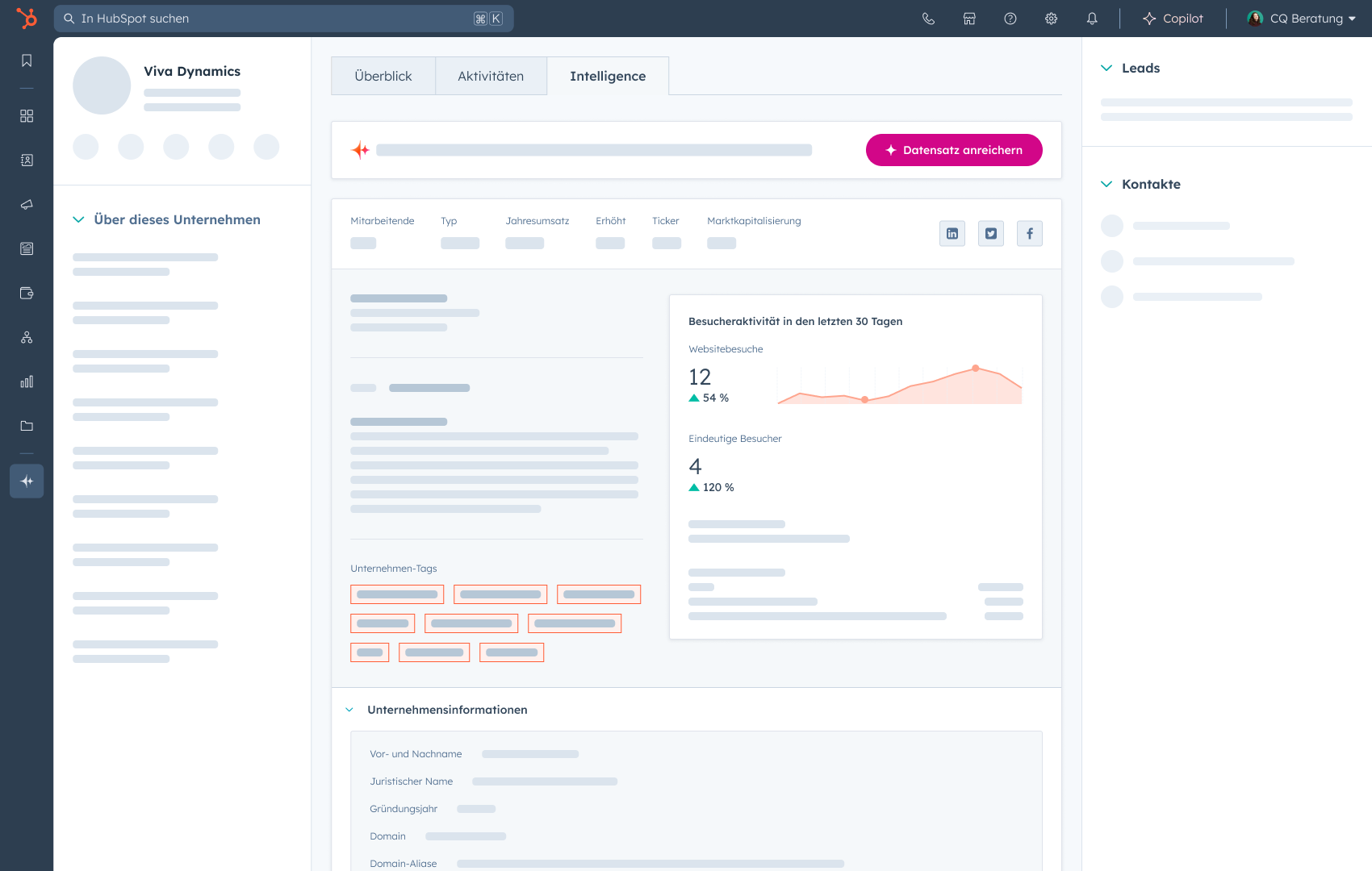 data-enrichment-intelligence-tab-de