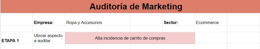 Ejemplo de auditoría de marketing: datos generales