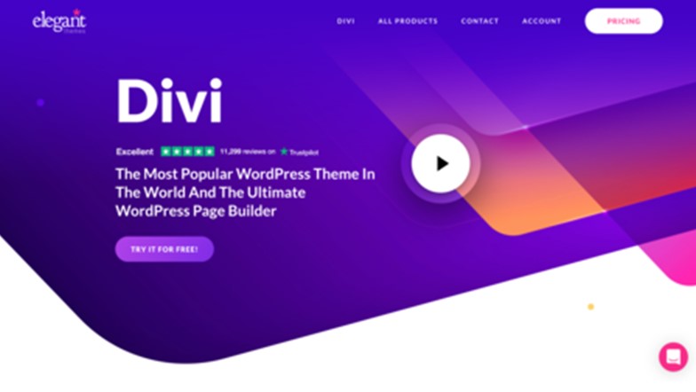 Divi Builder