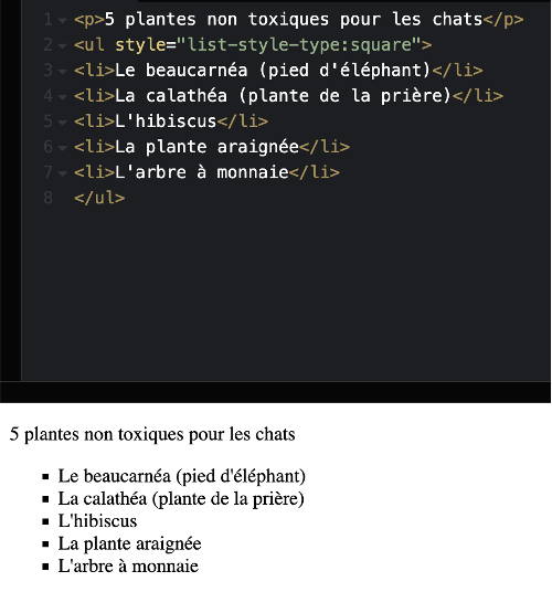 Liste HTML personalisée