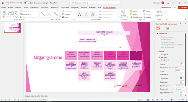 choix du style de l'organigramme powerpoint