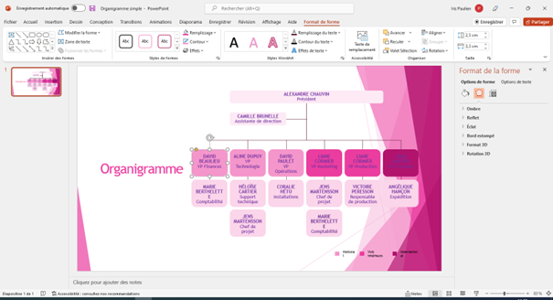 choix des cases de l'organigramme powerpoint