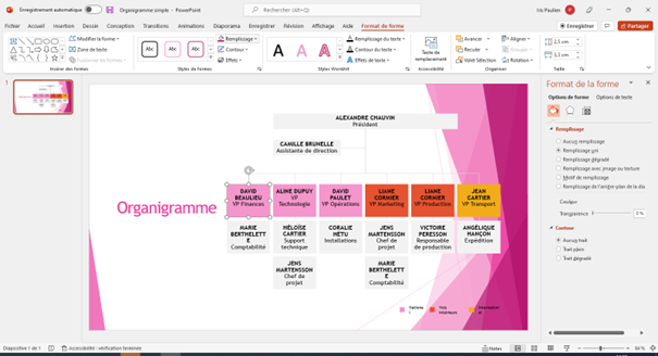 choix des couleurs de l'organigramme powerpoint