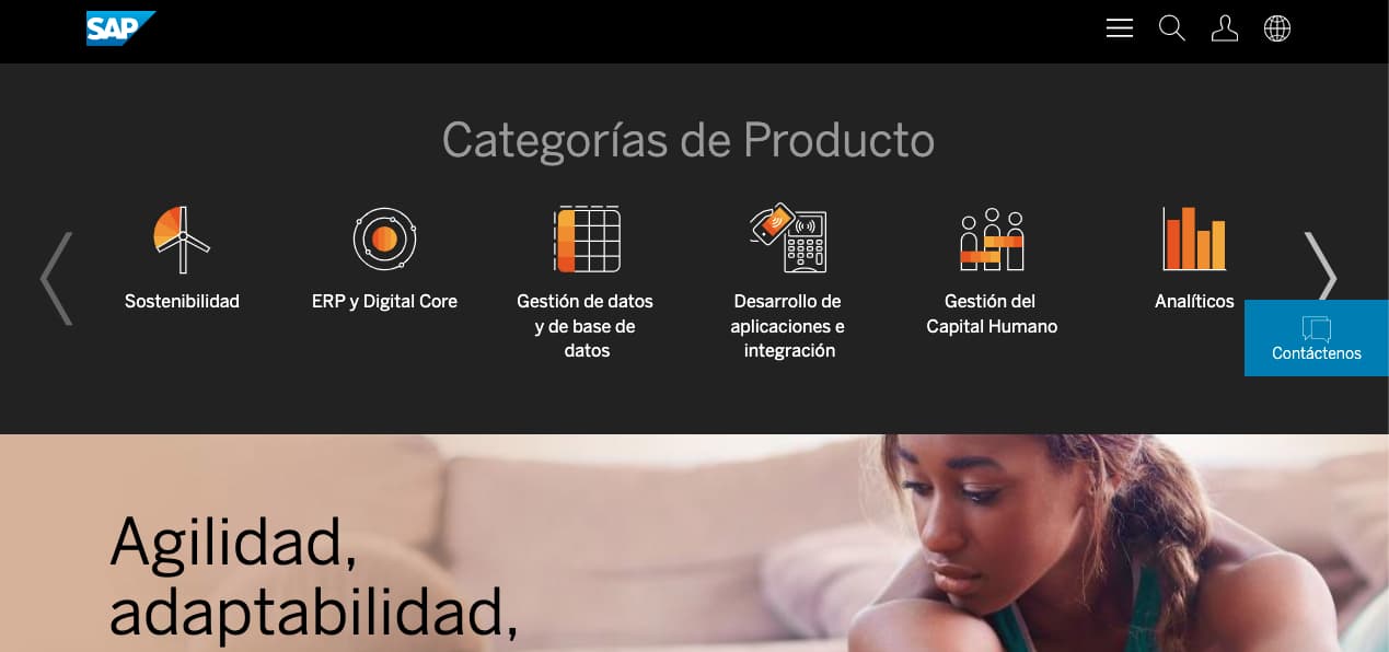 Ejemplos de tipos de comercio electrónico: SAP