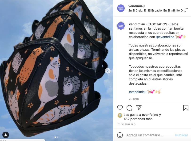 Ejemplo de co-branding en Instagram