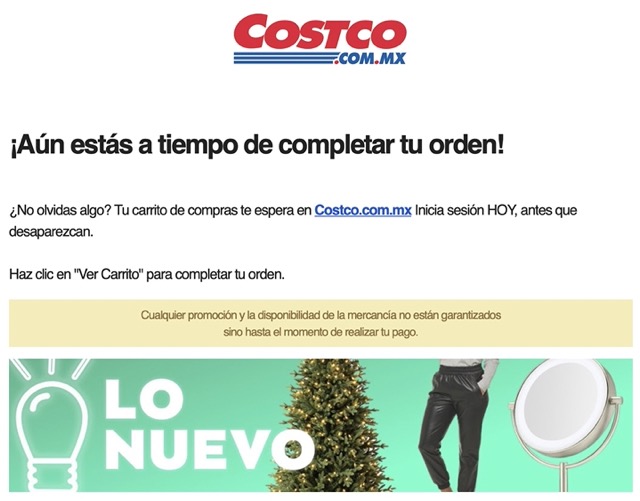 Consejo para preparar tu sitio web para Navidad: correo para carritos abandonados