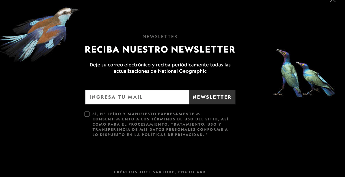 Ejemplos de formularios de contacto atractivos: NatGeo