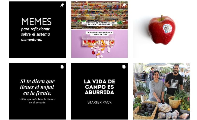 Estrategia de marketing en Instagram de Feria de Productores